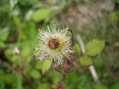 f:id:avdk101:20130506205802j:image