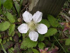 f:id:avdk101:20130506205803j:image
