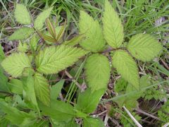 f:id:avdk101:20130509210521j:image