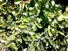 f:id:avdk101:20130513184133j:image