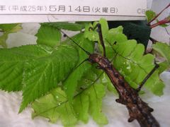 f:id:avdk101:20130517045208j:image