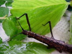 f:id:avdk101:20130521205303j:image