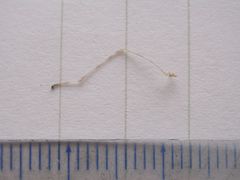 f:id:avdk101:20130524061338j:image