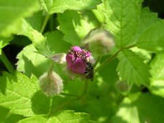 f:id:avdk101:20130526020228j:image