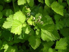 f:id:avdk101:20130526020229j:image