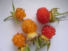 f:id:avdk101:20130601232501j:image f:id:avdk101:20130601232501j:image