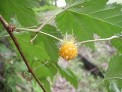 f:id:avdk101:20130601232502j:image f:id:avdk101:20130601232502j:image
