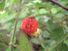 f:id:avdk101:20130601232503j:image f:id:avdk101:20130601232503j:image