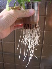 f:id:avdk101:20130601234734j:image