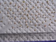 f:id:avdk101:20130601235142j:image