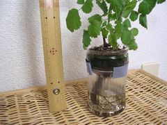 f:id:avdk101:20130602220141j:image