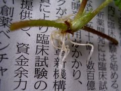 f:id:avdk101:20130604214512j:image
