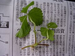 f:id:avdk101:20130604214513j:image