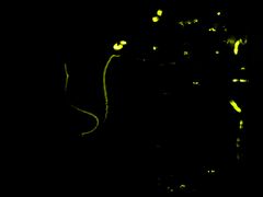 f:id:avdk101:20130606214817j:image