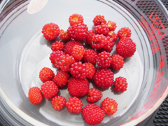 f:id:avdk101:20130608194603j:image