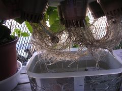 f:id:avdk101:20130617060854j:image