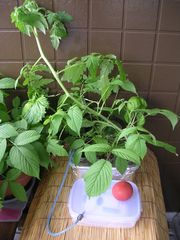 f:id:avdk101:20130617060857j:image