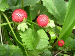 f:id:avdk101:20130617062544j:image