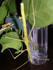 f:id:avdk101:20130623205054j:image