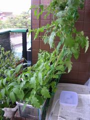 f:id:avdk101:20130701062704j:image