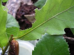 f:id:avdk101:20130711233407j:image