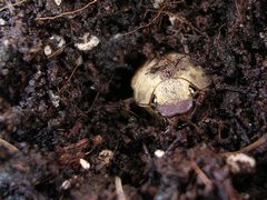 f:id:avdk101:20130721171012j:image