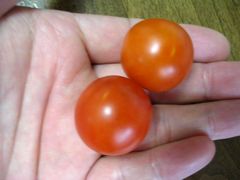 f:id:avdk101:20130727050314j:image