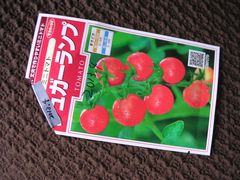 f:id:avdk101:20130727050541j:image