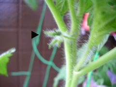 f:id:avdk101:20130727050737j:image