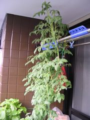 f:id:avdk101:20130727050912j:image