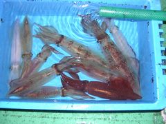 f:id:avdk101:20130803210614j:image