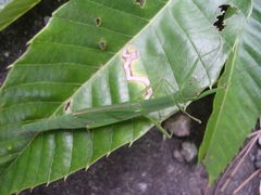 f:id:avdk101:20130823214312j:image