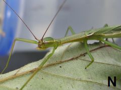 f:id:avdk101:20130824220941j:image