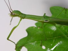 f:id:avdk101:20130831191637j:image