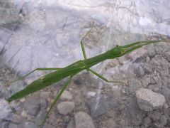 f:id:avdk101:20130914233753j:image