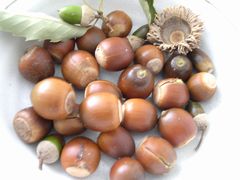 f:id:avdk101:20130922223351j:image