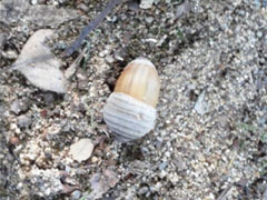 f:id:avdk101:20130930232101j:image