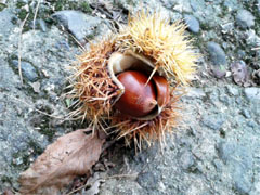 f:id:avdk101:20130930233247j:image