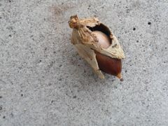 f:id:avdk101:20131004234853j:image