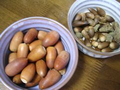 f:id:avdk101:20131005192523j:image