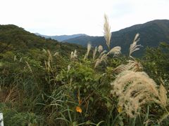 f:id:avdk101:20131019181205j:image
