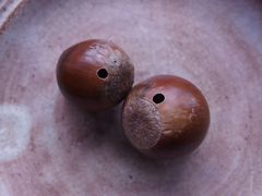 f:id:avdk101:20131020162535j:image
