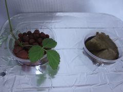 f:id:avdk101:20131025211032j:image f:id:avdk101:20131025211032j:image