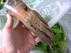 f:id:avdk101:20131025220231j:image