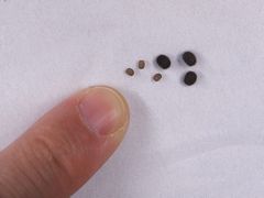 f:id:avdk101:20131102212530j:image