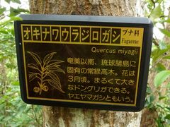 f:id:avdk101:20131124174300j:image