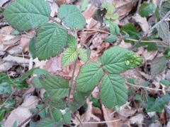f:id:avdk101:20140201184830j:image