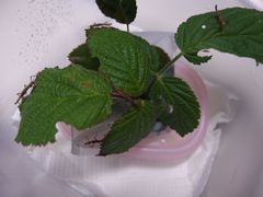 f:id:avdk101:20140201192827j:image
