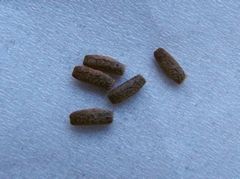 f:id:avdk101:20140211190908j:image