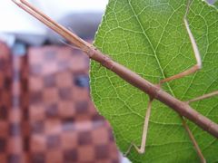 f:id:avdk101:20140211190910j:image